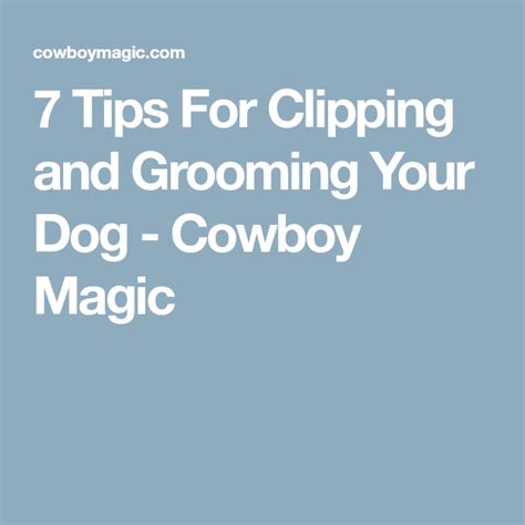 Discover the Magic of Cowboy Training Methods for Your Four-Legged Friend